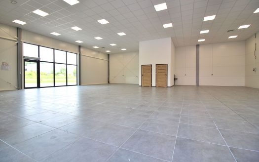 Duży nowoczesny lokal na wynajem