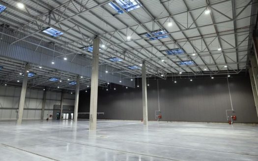 Hala BTS – świetna lokalizacja dla firm