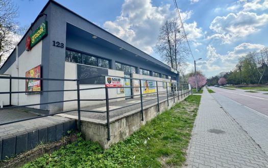 LOKAL HANDLOWO-USŁUGOWY I BIERUŃ