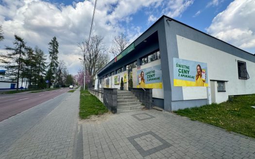 LOKAL HANDLOWO-USŁUGOWY I BIERUŃ